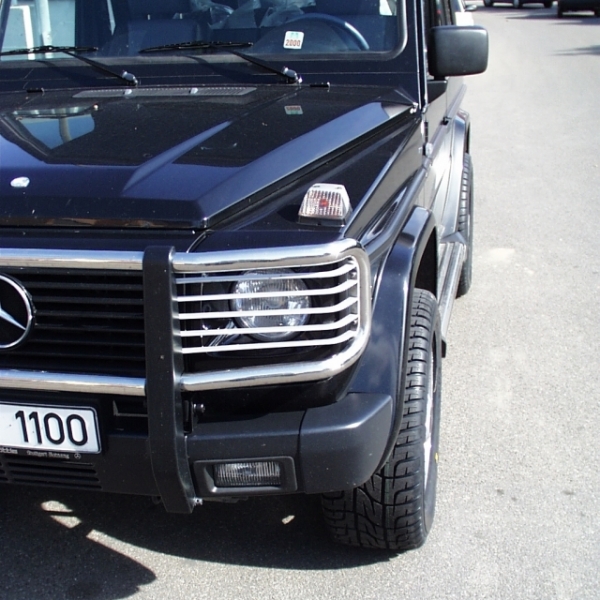 mercedes g bullbar